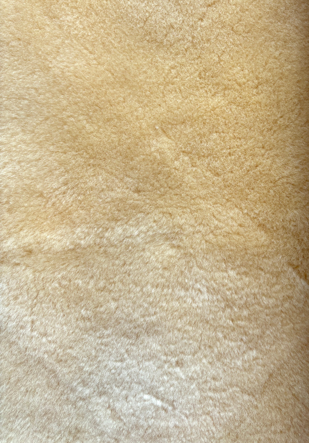 Texture Close Up